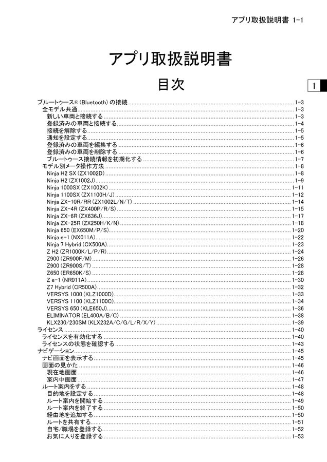 にら出品(※説明欄必読) Kawasaki - KTIVS